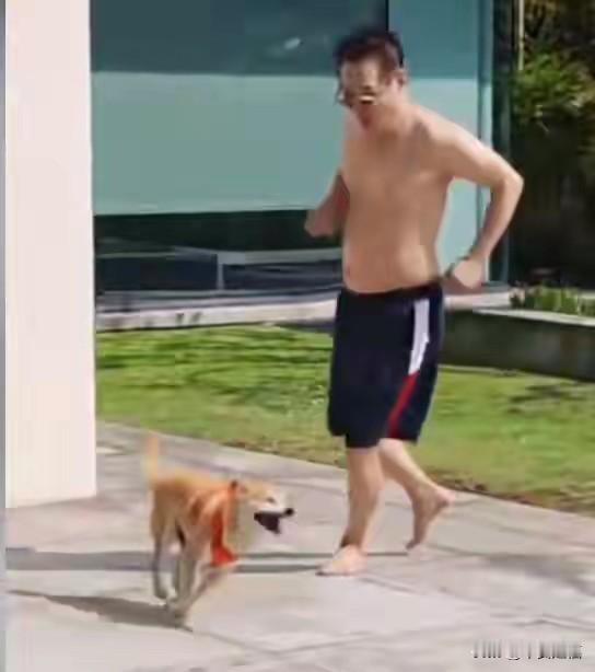 62岁李连杰豪宅游泳，脱光上衣自证清白，大腹便便并无刀疤
 
 
很难想象，一位