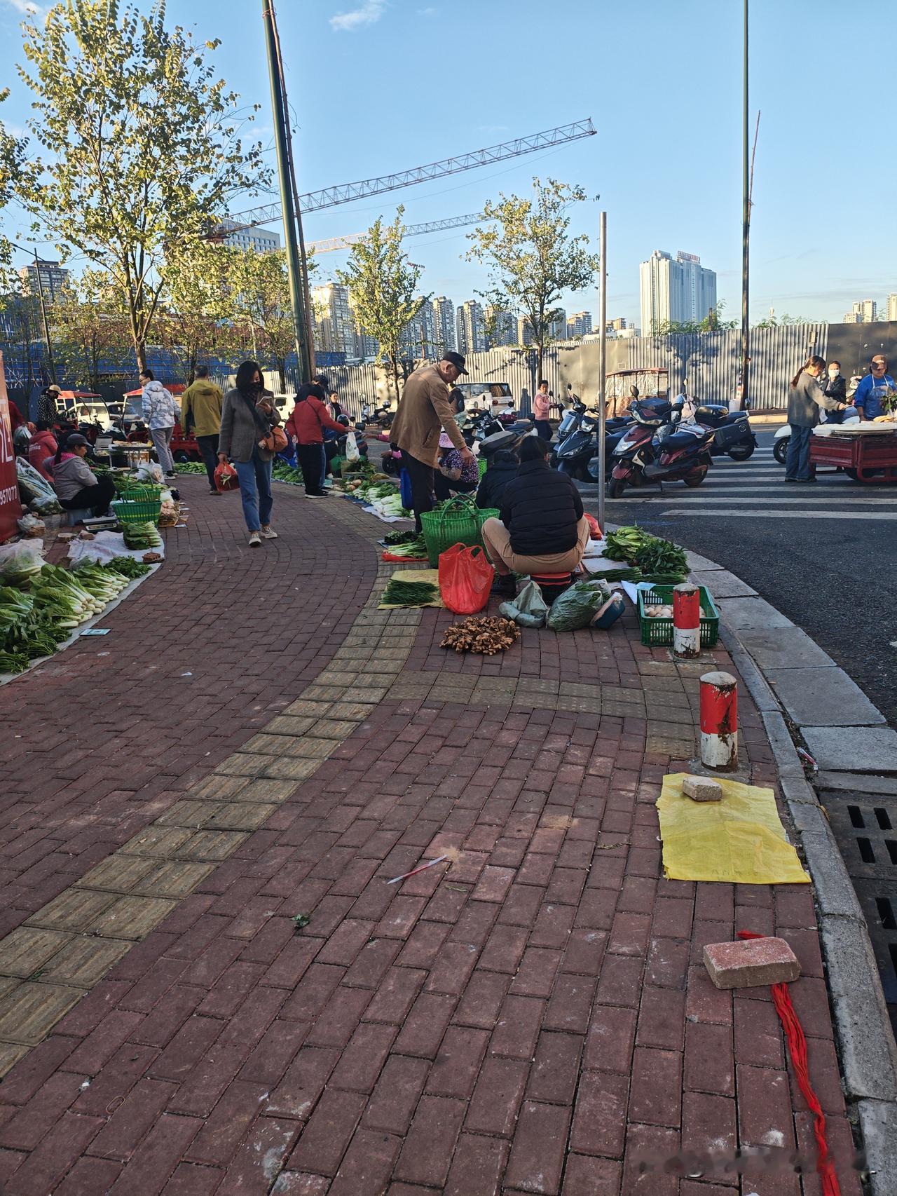 早上好！
送完娃拐到这路边菜摊逛逛，这小菜估计是阿姨早上从菜地里薅出来的，看着多