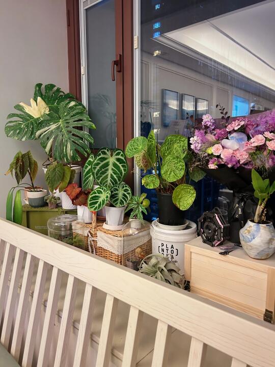 新人困惑，热植一旦入坑是不是就爬不出来了？