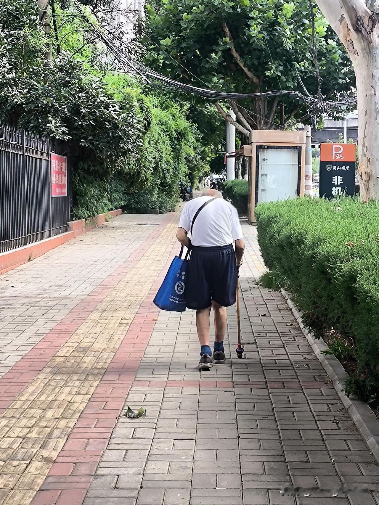 背影
     在大街上，在田地里，时常能看到驼背老人拄着拐杖、拉着小推车的身影