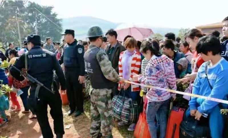 东南亚电诈为什么总打不完？问题不在马仔，在没挖到根

东南亚的电诈窝点，隔三差五