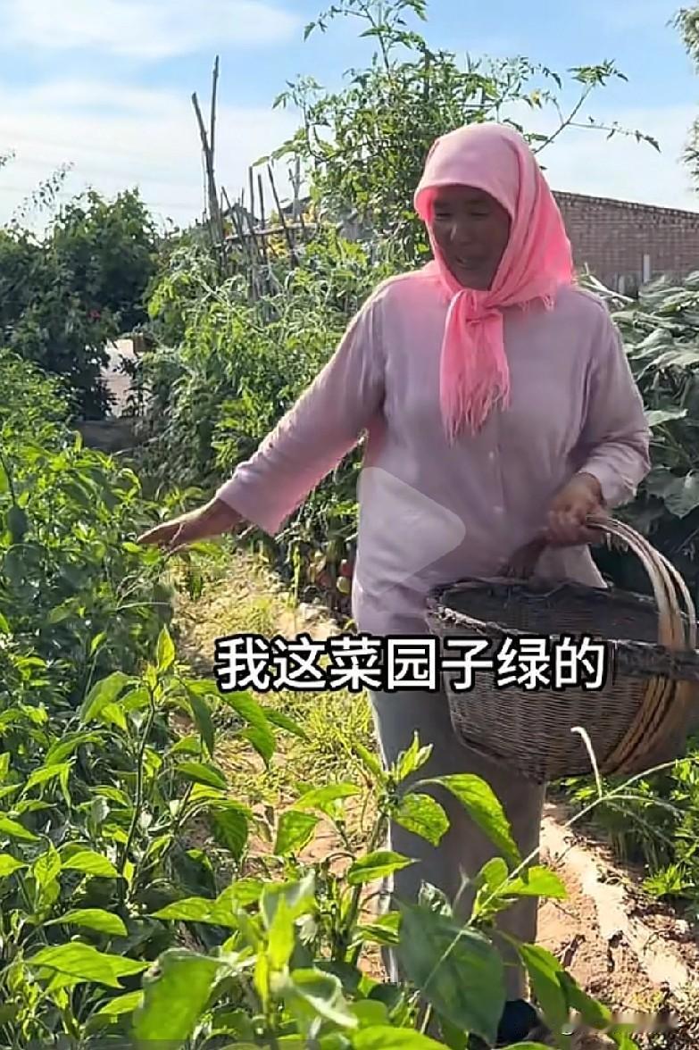 我也想辞职回家种地呀，好羡慕穆萨家这片菜园子，啥都有，西红柿，茄子，辣椒，豆角，