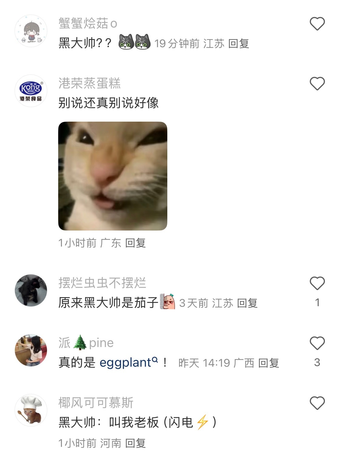 外公种的茄子好像黑大帅 