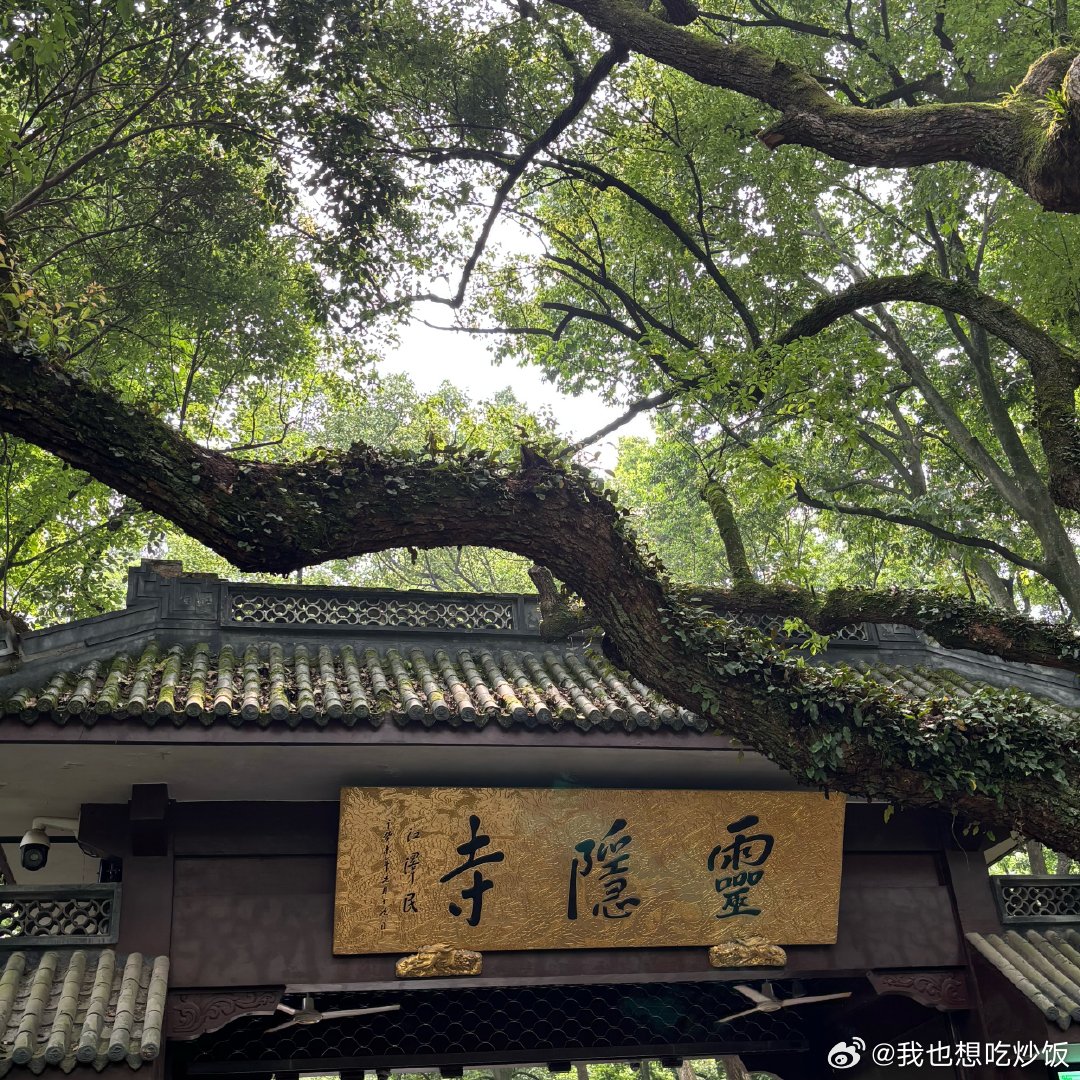 来保佑许鑫蓁比赛了 