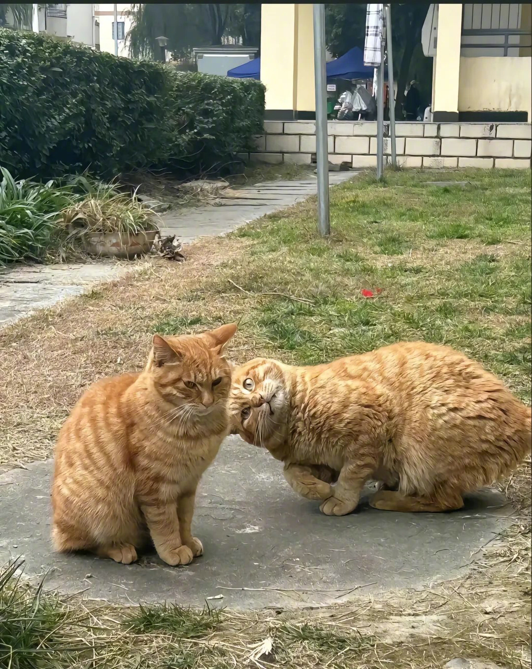 真哭啦啊！！！ ​​​