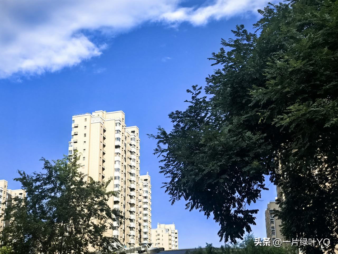 拍一张你的城市天空风景吧雨后银川的天空澄澈透亮，干净得没有一丝杂云。清风漫过楼宇