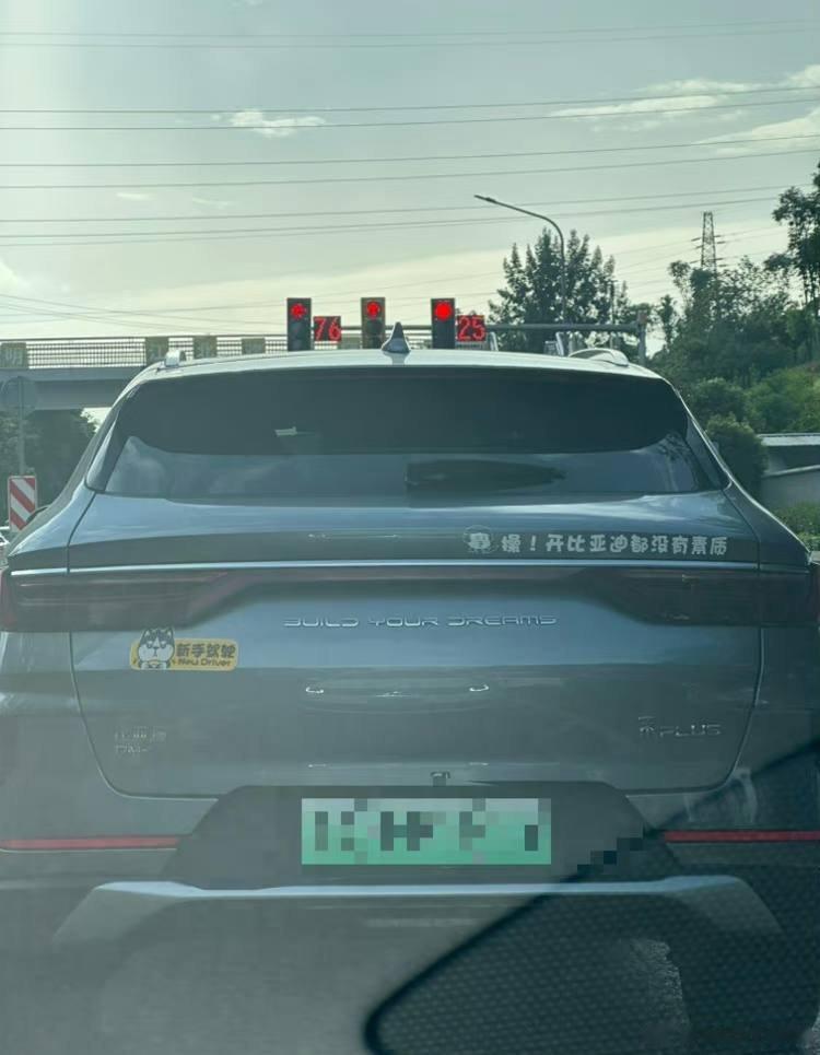 “开比亚迪都没有素质”。这个车标挺寻衅滋事的啊，开比亚迪的怎么就都没有素质了？[