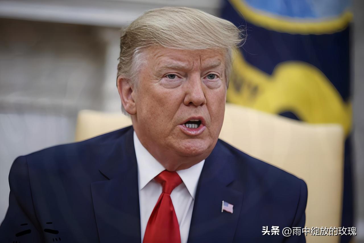嘴上强硬，身体诚实！特朗普喊停战，藏着最现实的大国算计
 
特朗普突然表态，愿意