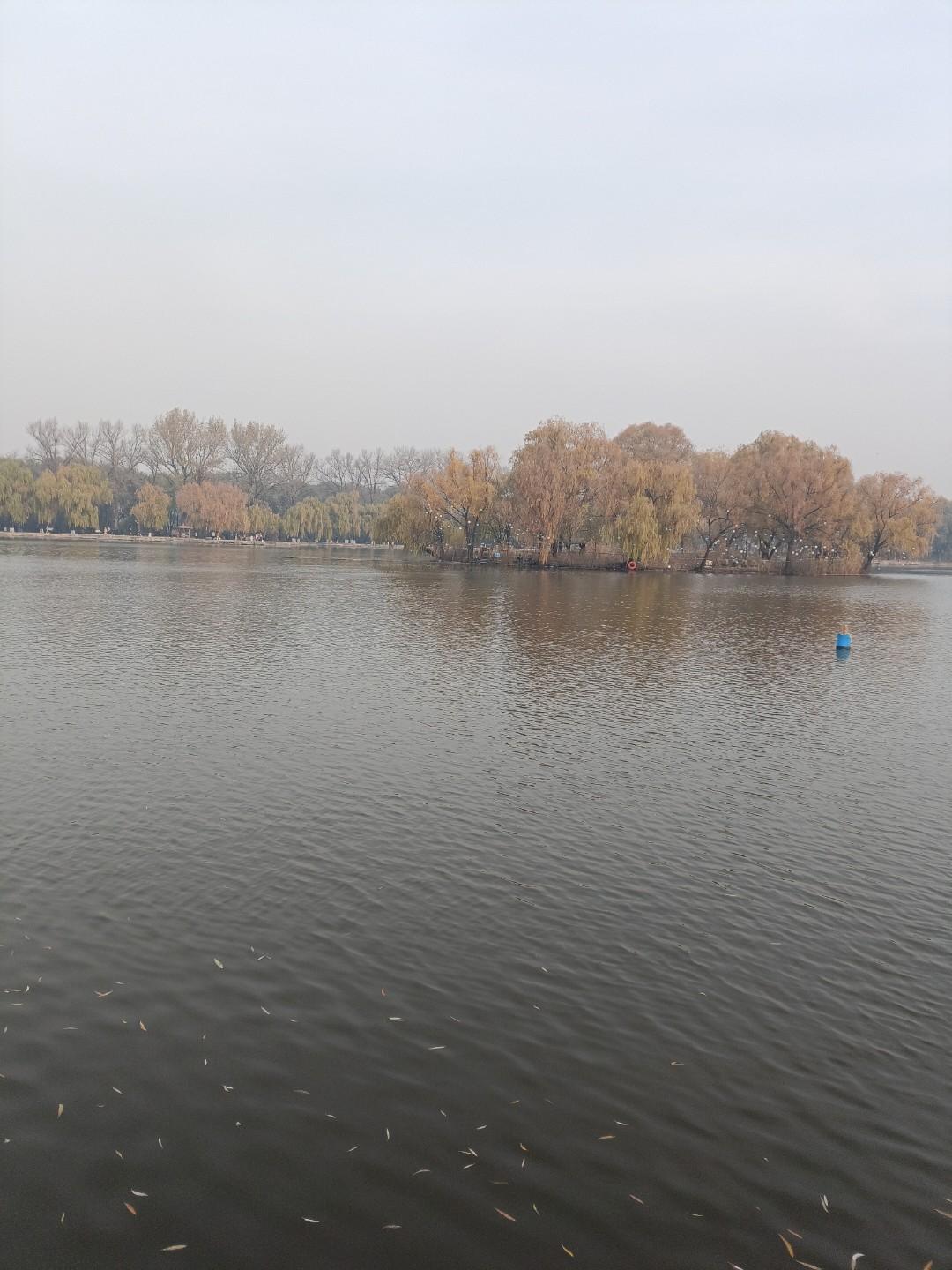 晒图笔记大赛湖水碧波荡漾，很美