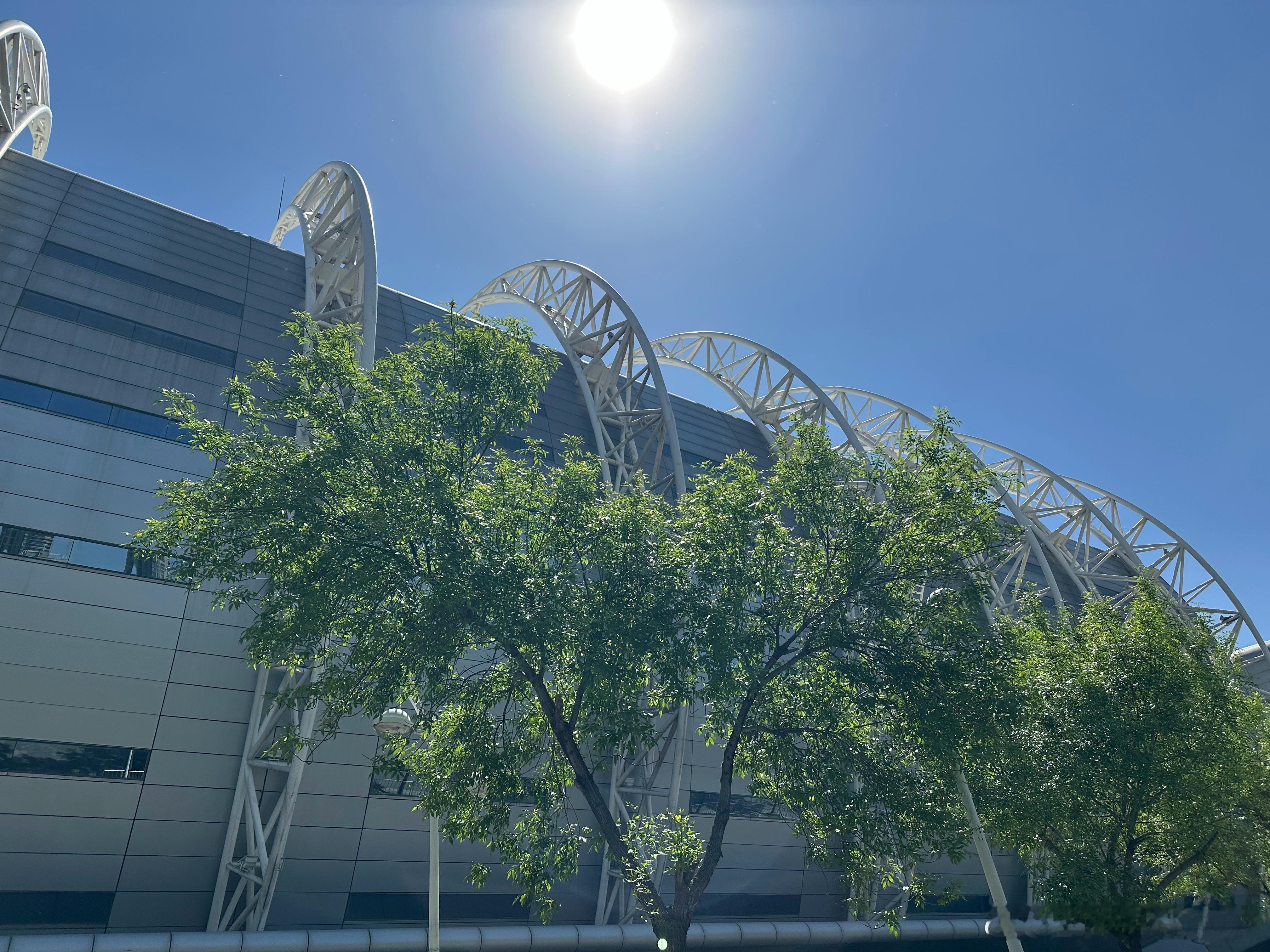 泰达足球场，阳光正好。 