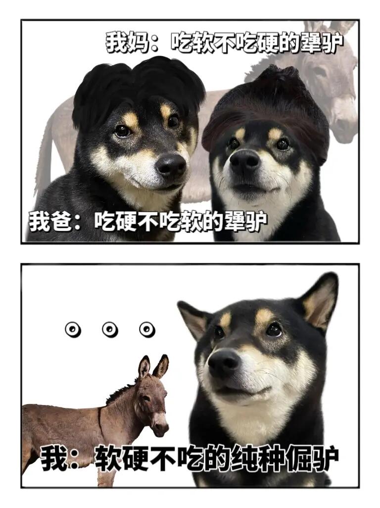 表情包|平等遗传了父母的缺点🤷🏻‍♀️