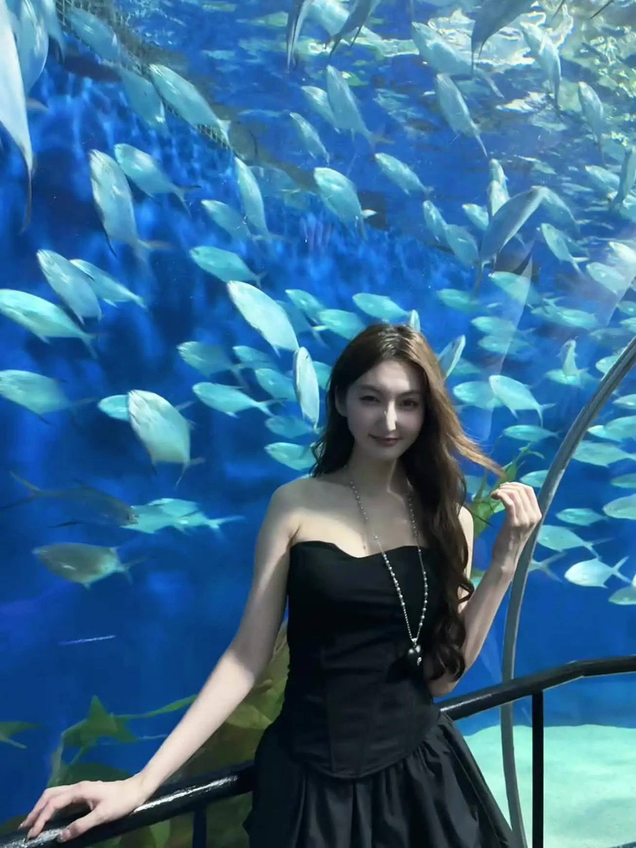 海洋馆的独特滤镜