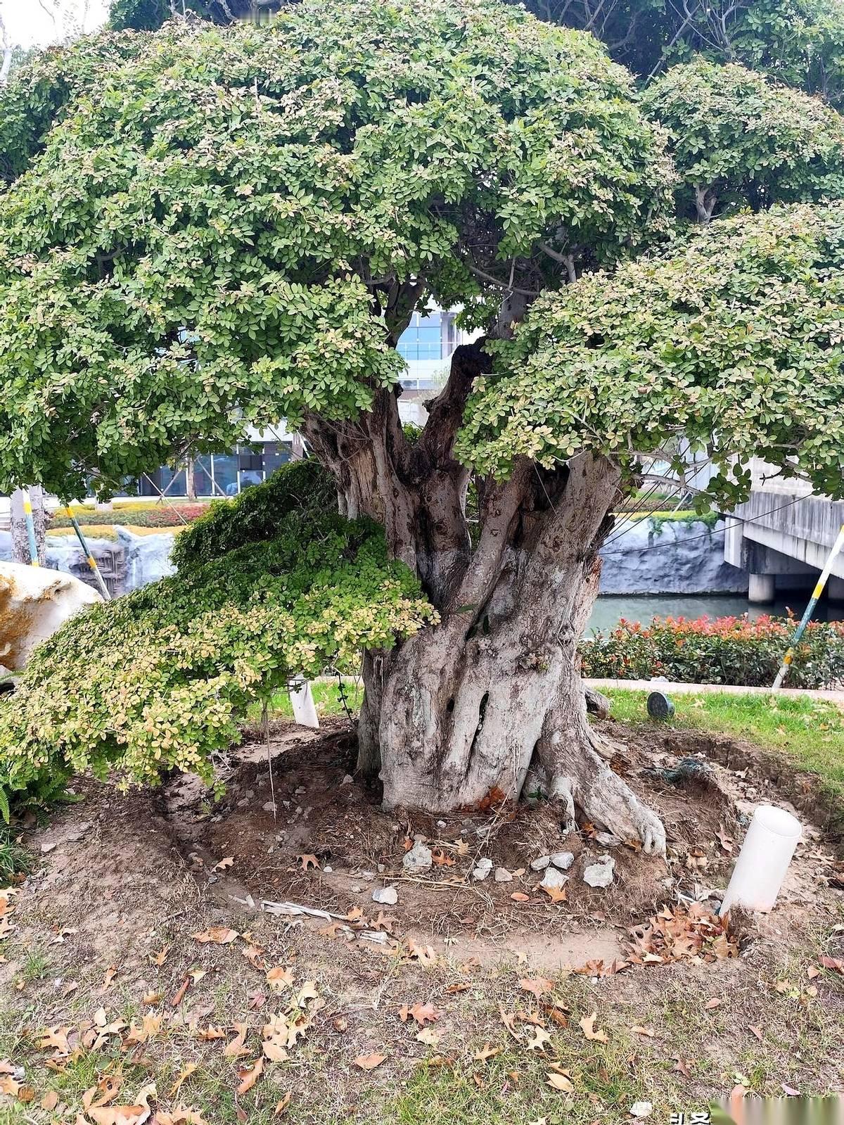 生了一场大病，鬼门关前走了一遭，我最怕的后遗症，居然是怕人。
你没听错，就是字面