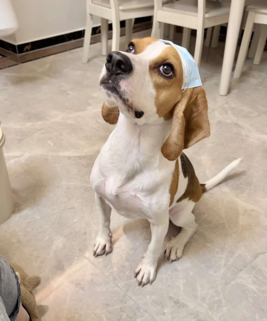 今天是美丽善良的护士小比