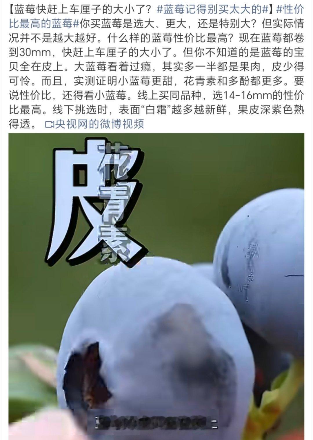 蓝莓记得别买太大的但是实际买水果 吃的就是一个爽口为主哇哪里管皮多肉少啥的这词条