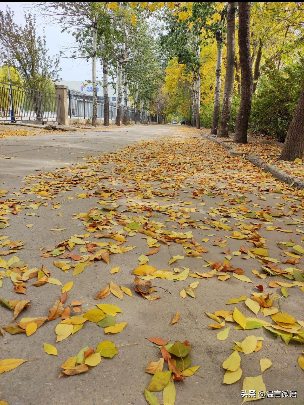 头条怎么了？ 
2年前，兴致勃勃地在头条播种，浇水，施肥。
如今看着惨淡的效果，
