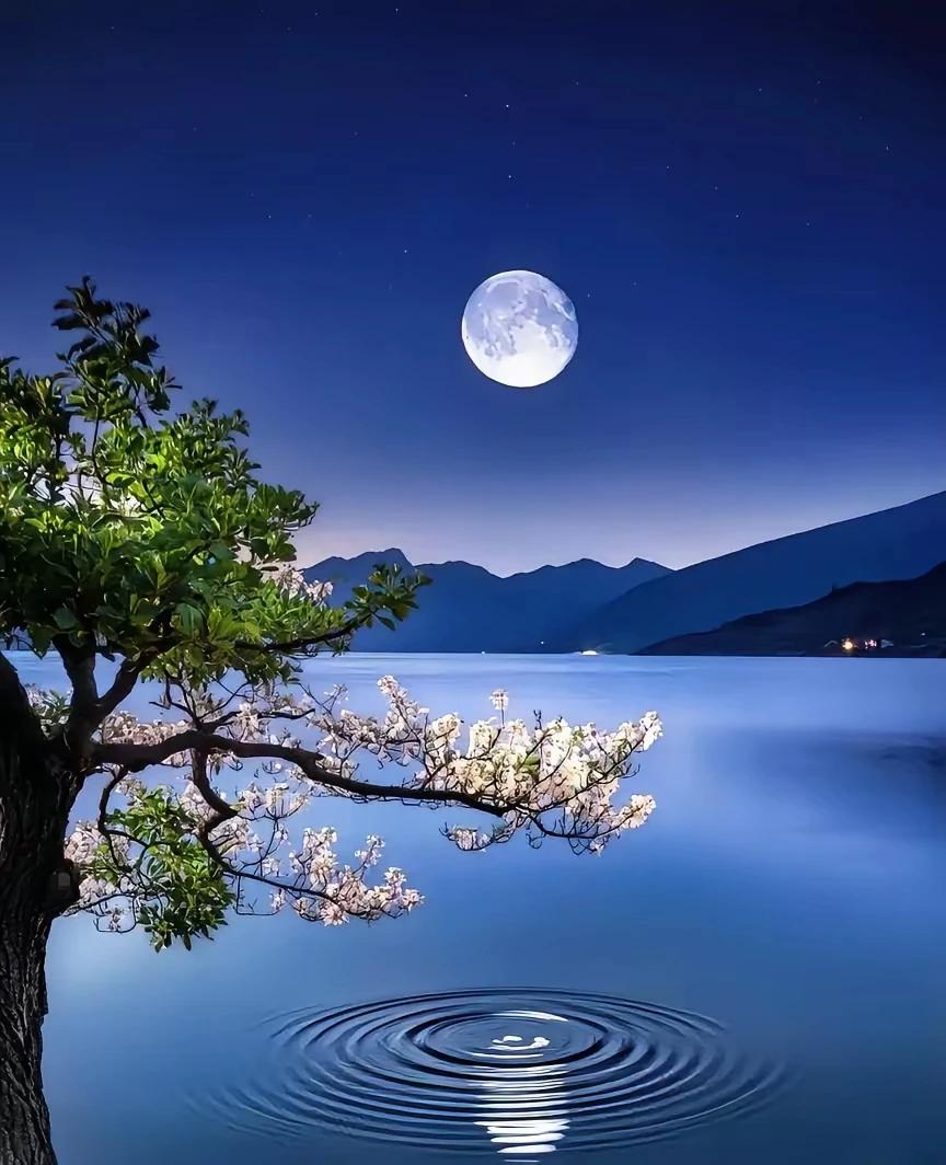 上联：星空有爱闪苍穹，
下联：明月无私光遍洒。