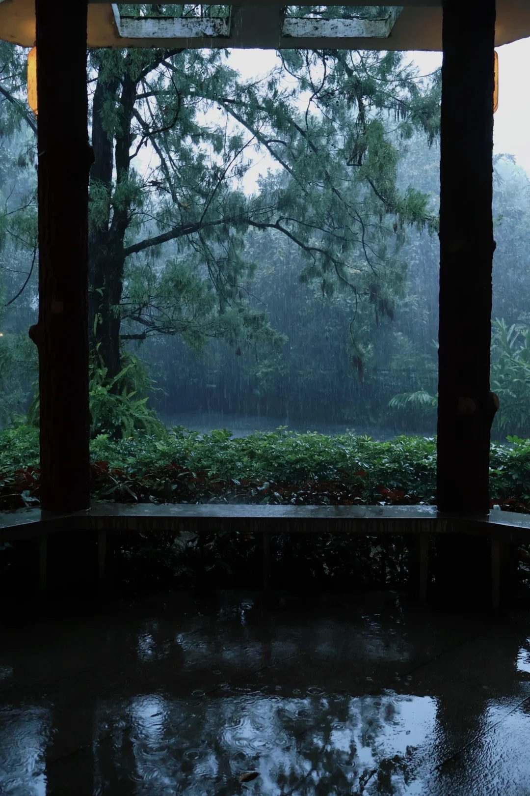 广州｜下雨了只能选一个地方去的话