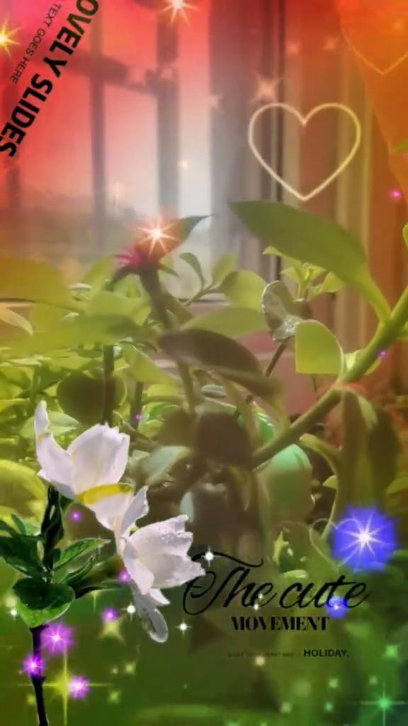 日子越过越亮堂。