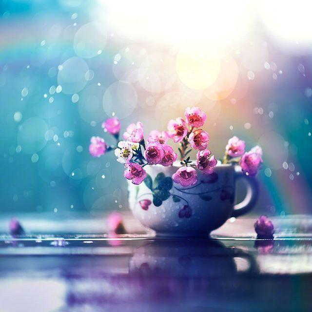 别做宴席上的硬菜，要做执刀的食客

在名利场的聚光灯下，我们习惯于用“惊艳”来形