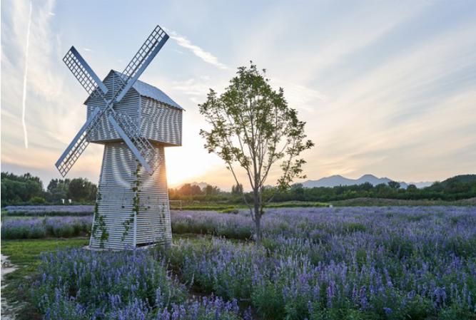 女人需不需要经济独立非常需要