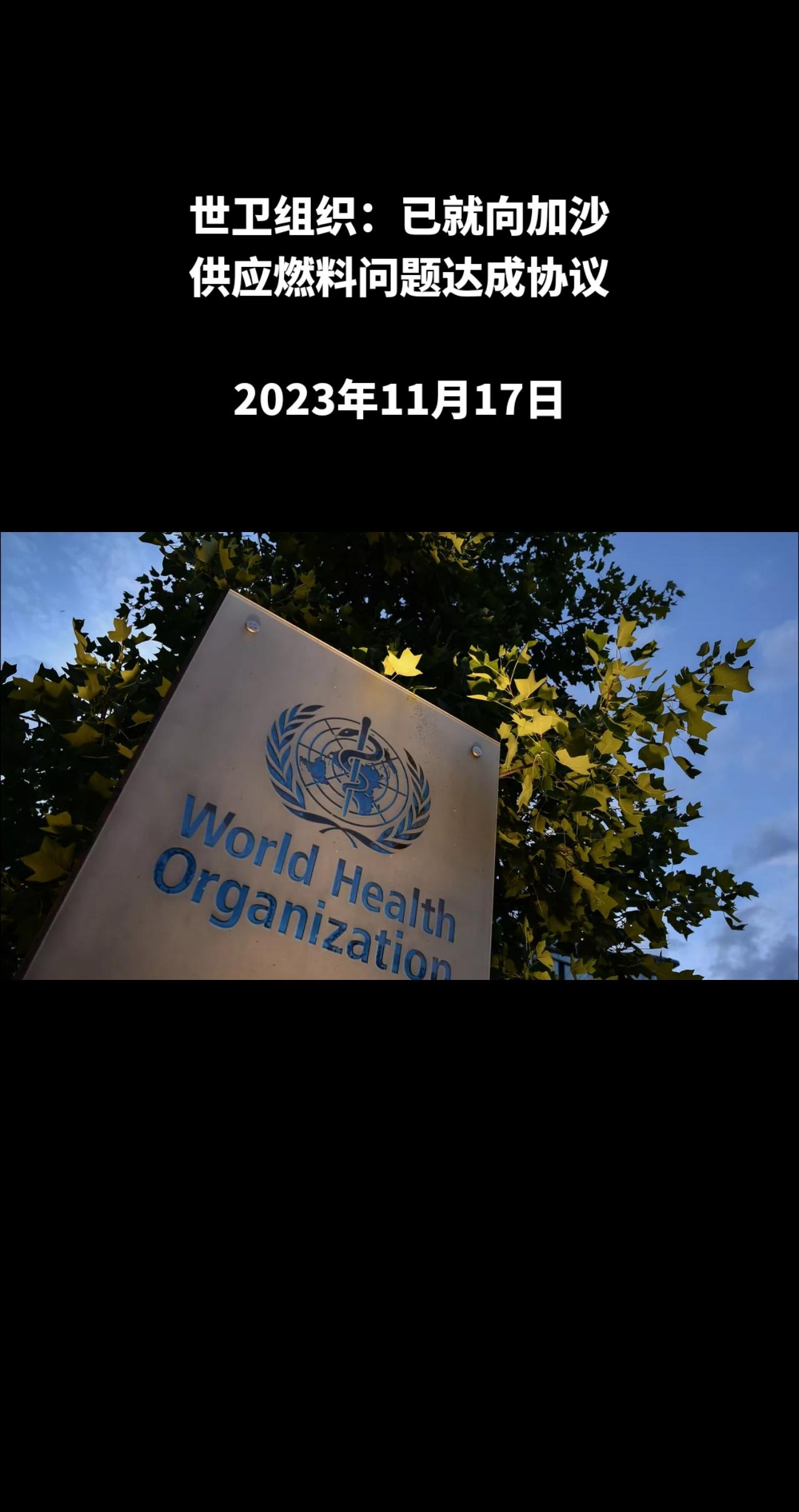 俄罗斯卫星通讯社日内瓦11月17日电 世卫组织驻巴勒斯坦被占领土代表理查德∙皮佩