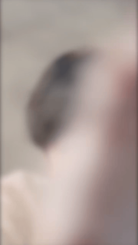 指尖触碰绵密云朵，连呼吸都变得温柔起来☁️。宝洁身体洗护代言人成毅，把每一次清洁