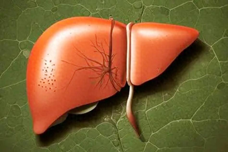 爱抽筋、常做梦、眼睛花，别瞎补！你是肝血不足，记住这一种地黄丸
提示：本内容仅供