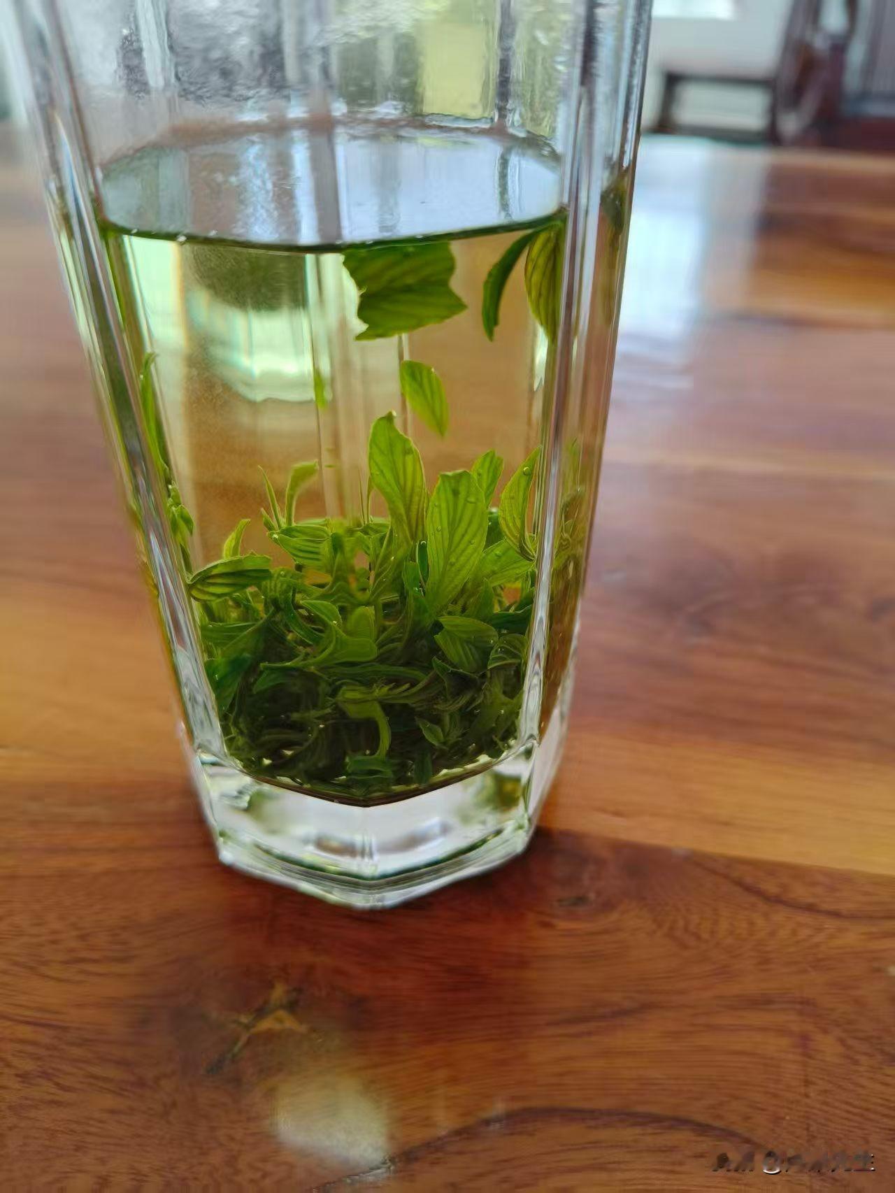 城里的雨，总伴着咖啡馆的醇香。窗内暖光融融，捧一杯醇厚咖啡，听雨敲窗棂，是都市人