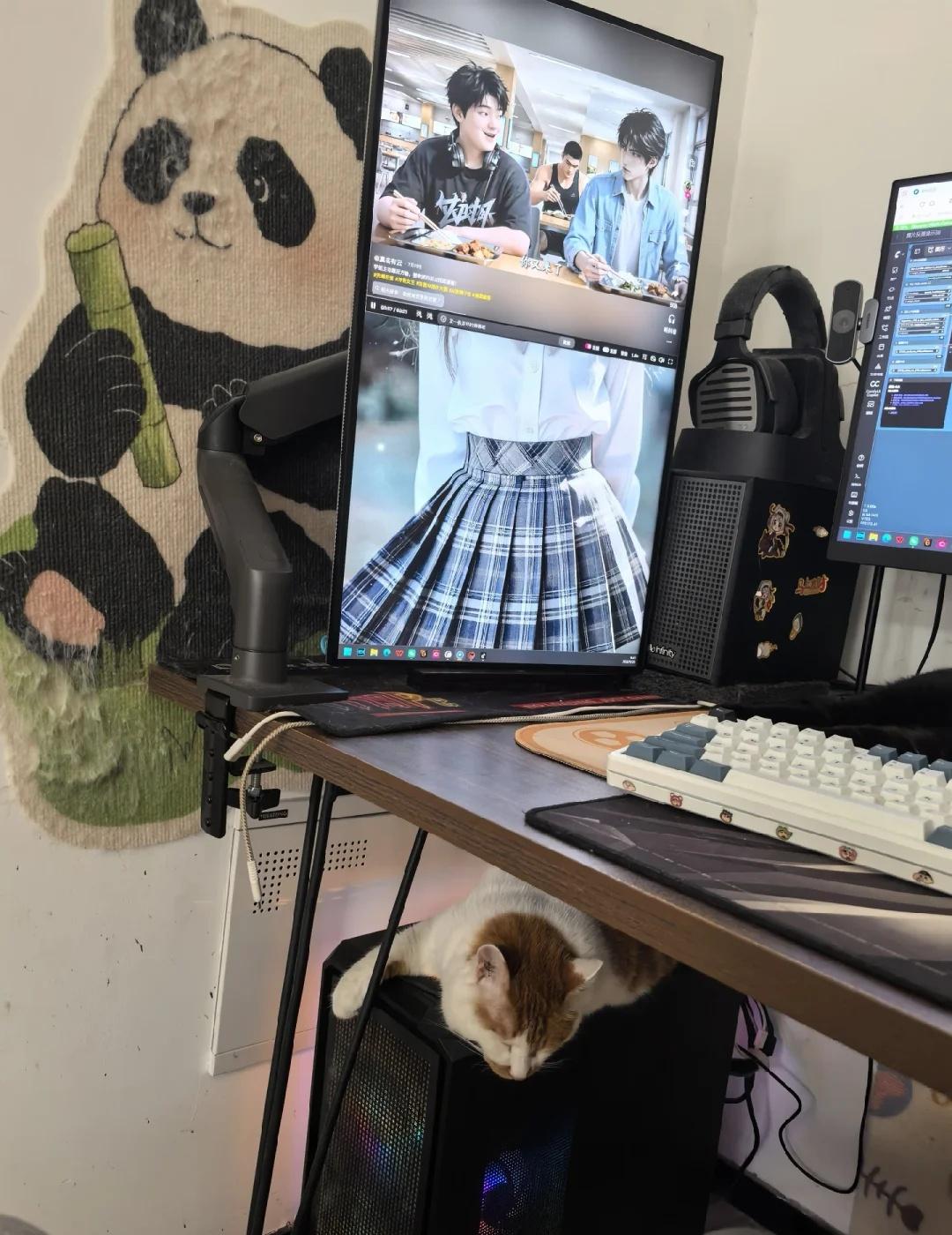 猫睡着，图渲着，我躺着
养猫人的日常。。。猫才是最好的伙伴howto建造我的桌面
