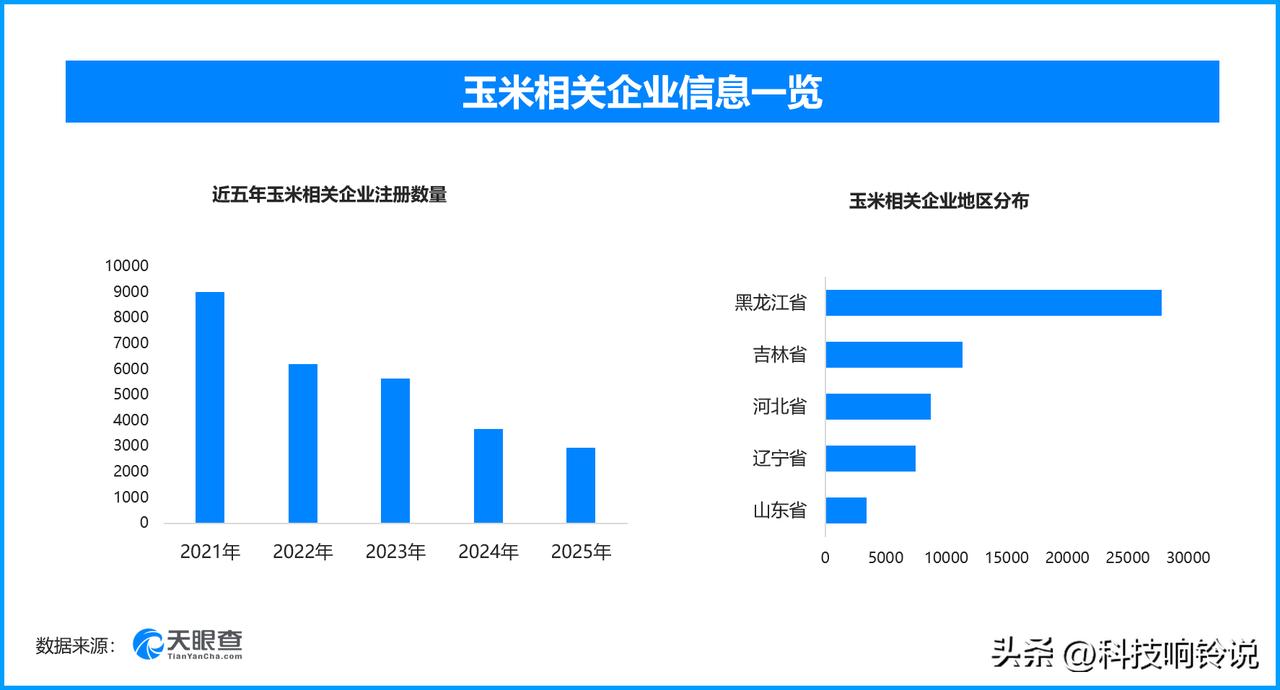 鲜食玉米品种“选美”开赛，现存玉米相关企业超8.2万家
第十二届中国北方鲜食玉米