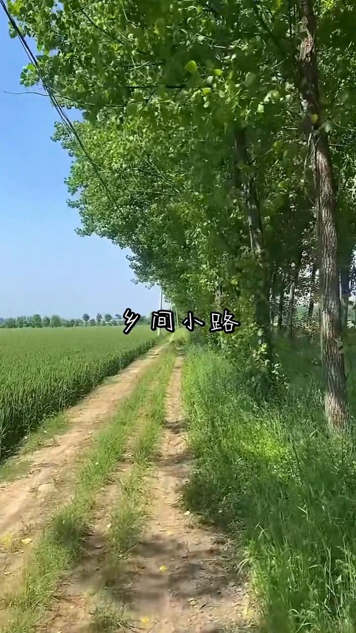 乡间小路。