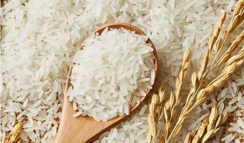 2025年11月，中日大米价格比价。以人民币为单位。
一，日本。普通大米，19.