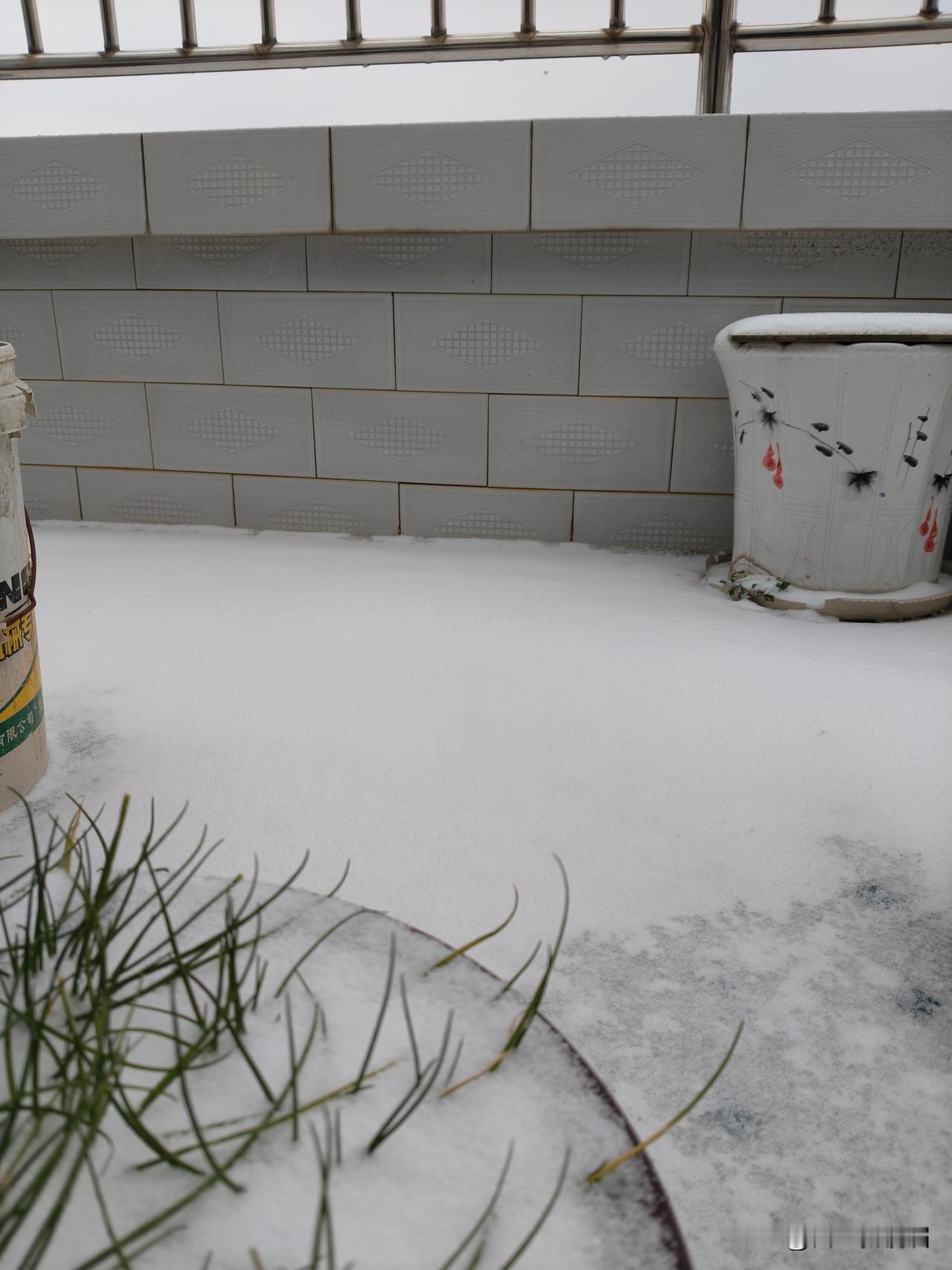 今年冬天的不同