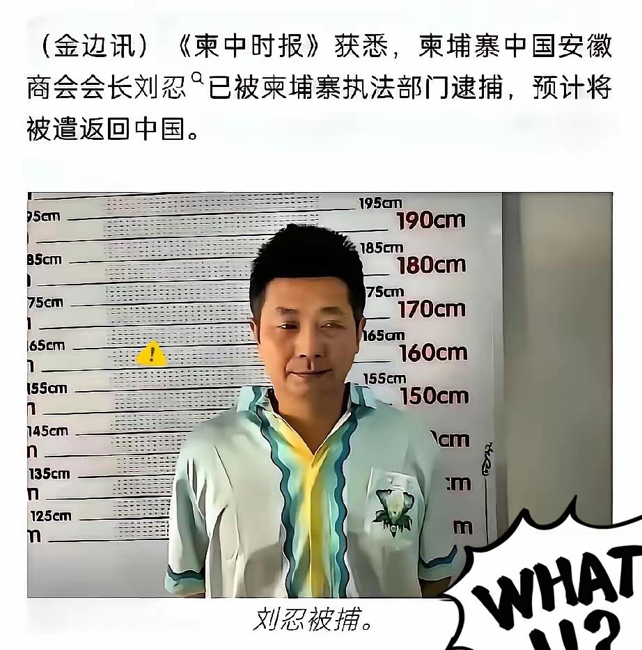 最可怕的内鬼终于浮出水面！柬埔寨电诈园区的幕后大佬，竟然是我们信任的商会会长。把
