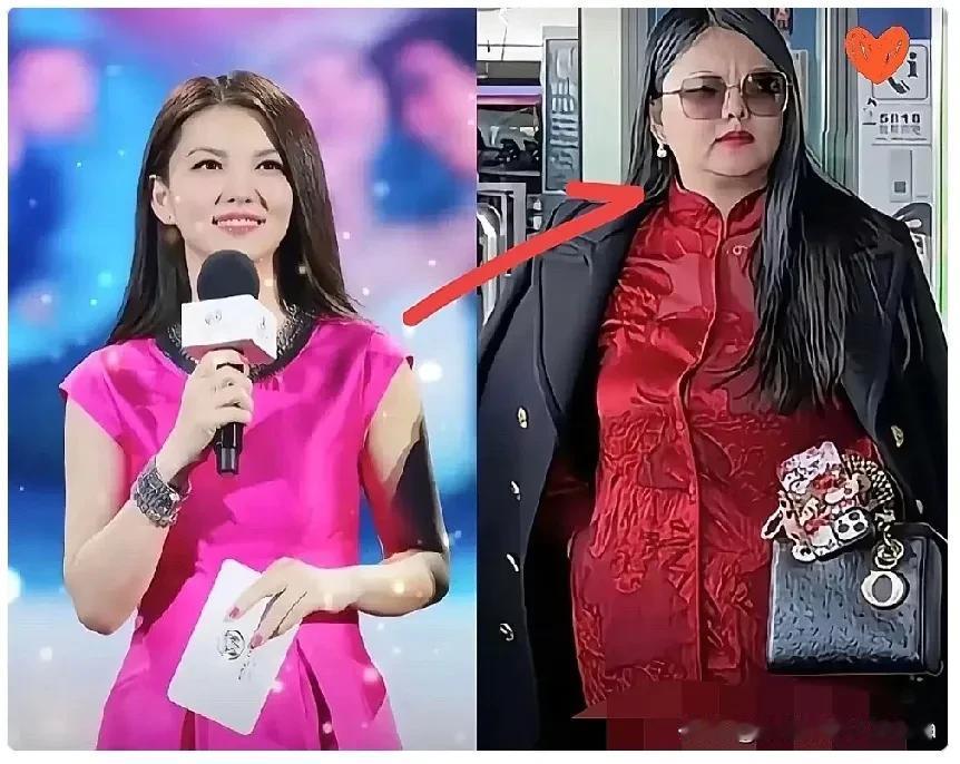 李湘如今的现状，
告诉所有人一个道理，
那就是，女生可以胖、可以丑，但不可以不会