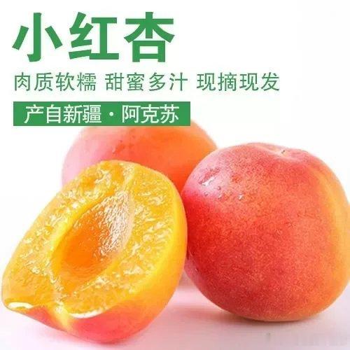 一次性给大家上几款好货。1.新疆轮台的小白杏卖得很不错，但是售卖时间比较短，因为