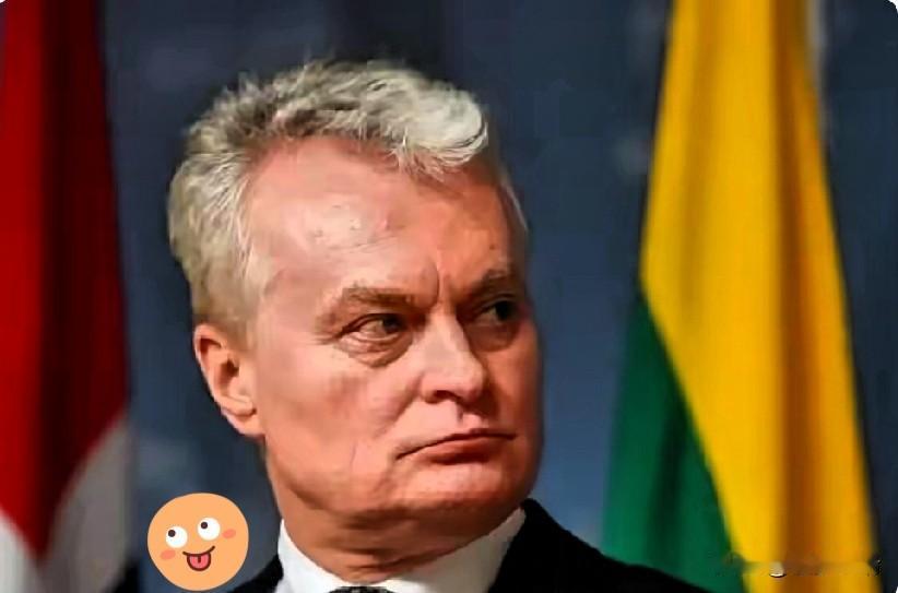 没见过这么摆谱的！

立陶宛这几日放出话来想去北京修复关系，结果北京方面说不急，