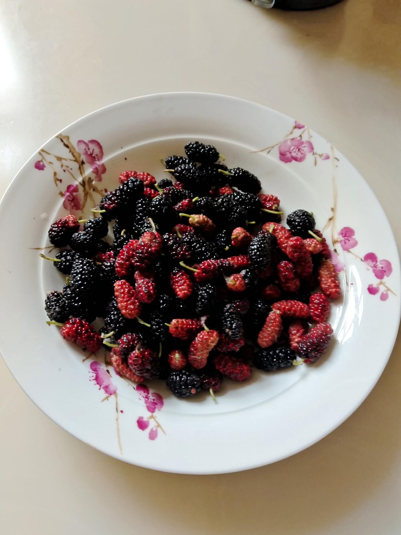 今天我又重温了一下童贞年代的快乐。早上六点起床，洗漱完了赶紧做早饭，六点五十分，