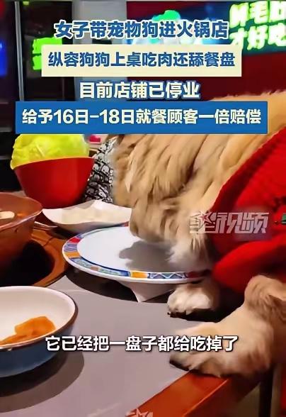 北京，女子带狗吃火锅，
让狗上桌吃羊肉卷，还笑着拍视频炫耀，但这下笑不出来了！