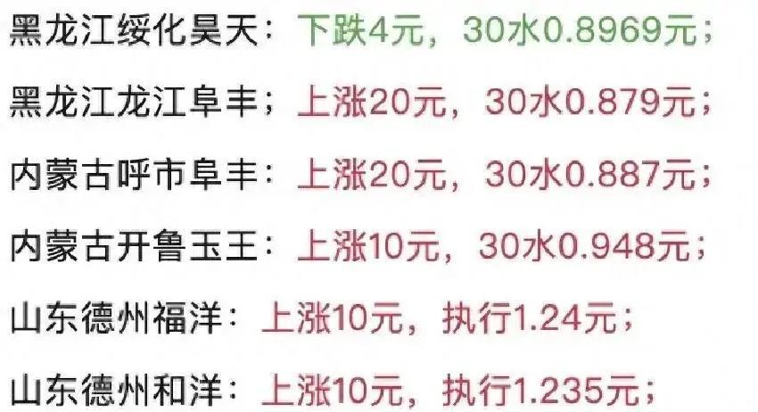 东北玉米深加工企业刚想压价试水，结果直接翻车，只剩绥化昊天还在微跌，其他大厂已集