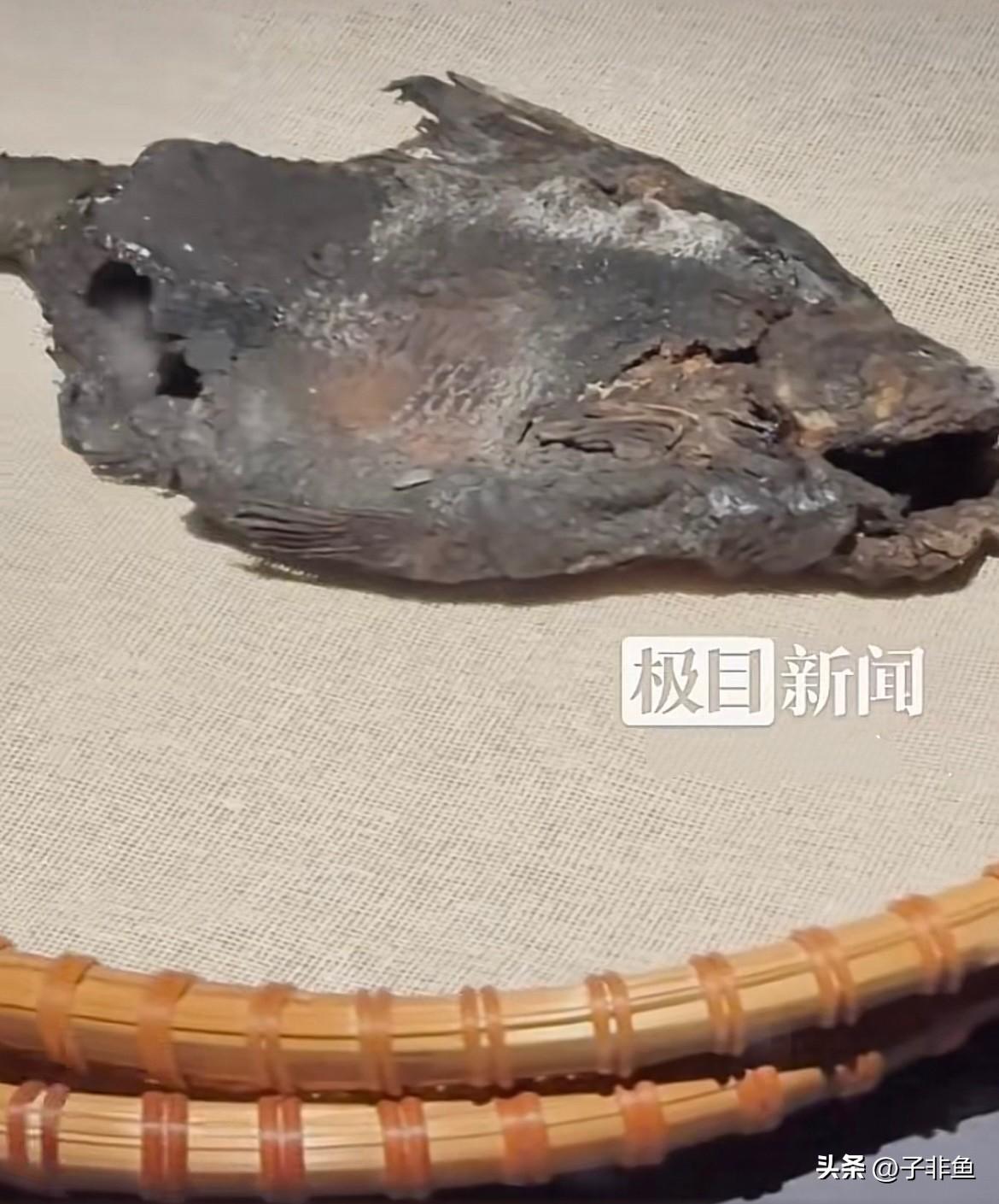 两千多年以前的咸鱼翻身了……
谁也没想到！最近湖北省博物馆最火的顶流，不是国宝重