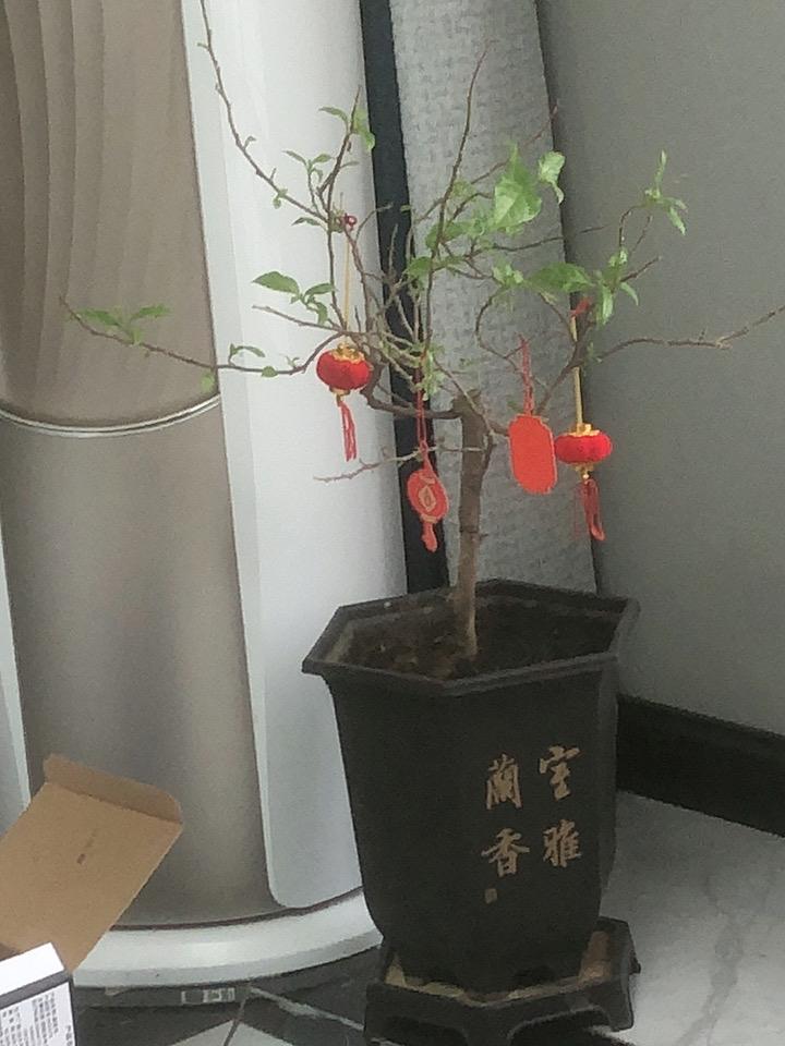 为什么每天上班都要起早贪黑起早贪黑，是为了撑起生活的责任，攒下对抗风雨的底气。不