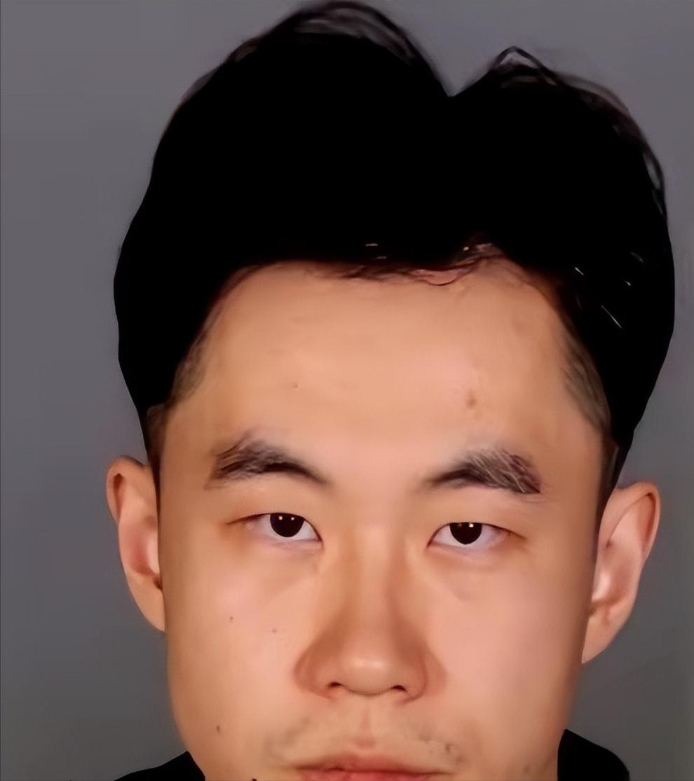 张大鹏，一个哈工大毕业、在法兰克福拿高薪的IT经理。如果不是德国警方那把破门而入