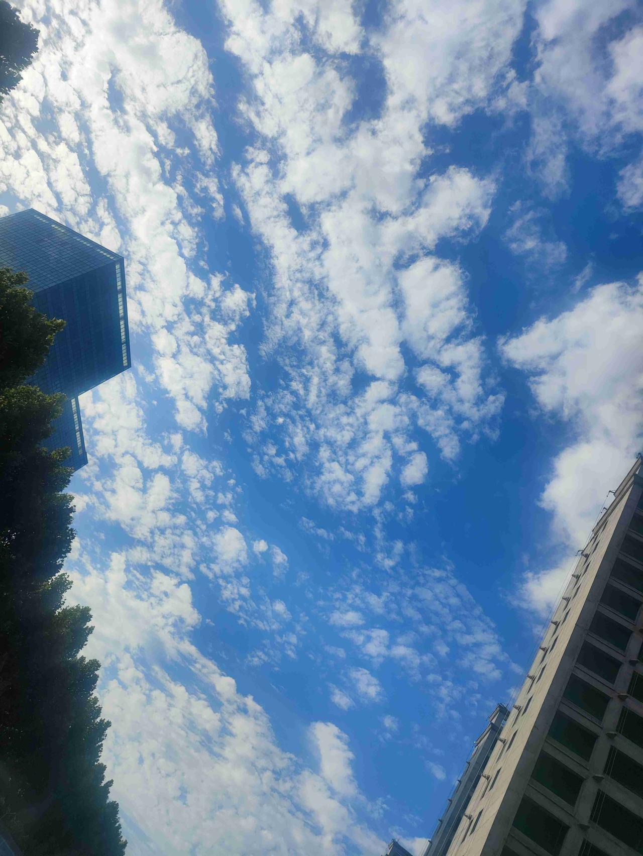 我的今日状态：😁轻松愉快
我这里的天气：☀️晴天🙏今天我为我的孩子祈福！愿我
