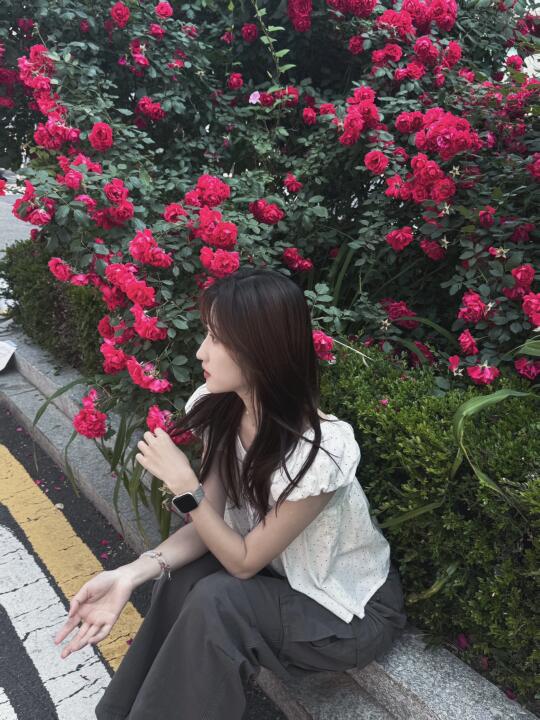 五月限定🌹延南洞的玫瑰花开啦