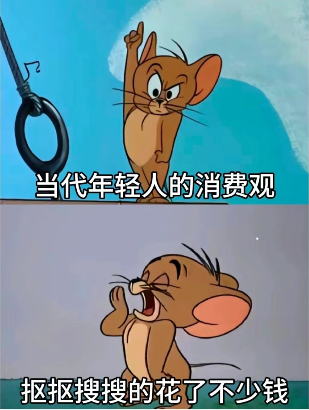 #当代年轻人省钱全靠拼手速#当代年轻人的消费观，是我本人了，抠抠搜搜花了很多钱。