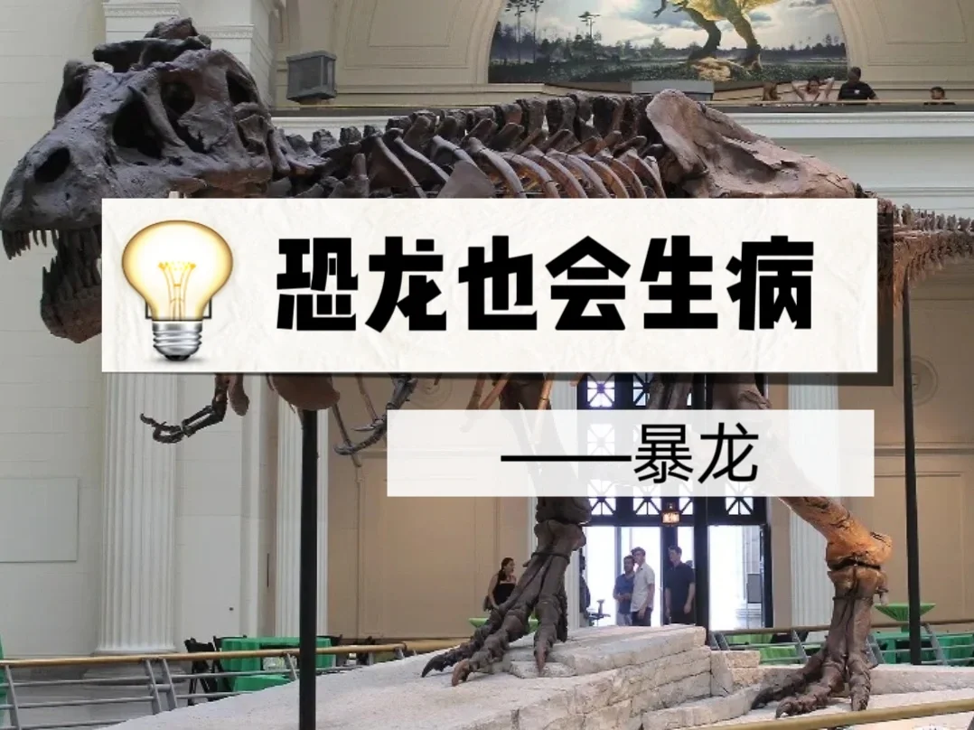 恐龙也会生病—暴龙