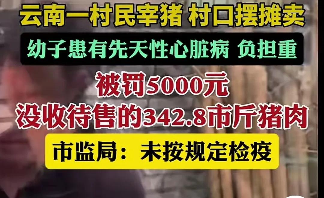 一村民杀自己家的猪，在村口卖肉，被举报后，被罚5000元，家里还有先天性心脏病的