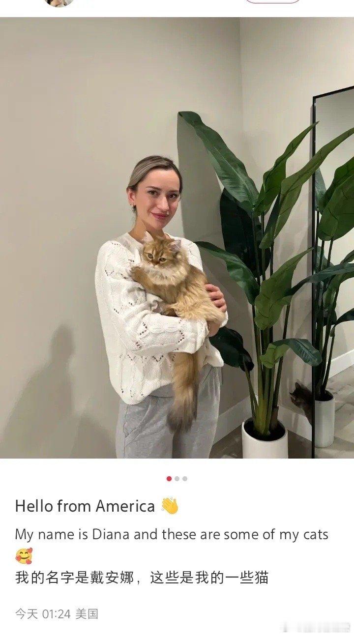 今天打开小红书，这是进入国际版了吗？发帖的是个美国小女孩，抱着她的猫下面回帖的，